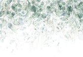 Fotobehang - Vlies Behang - Pastel Groene Balderen - 368 x 280 cm