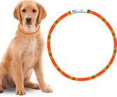 Led Halsband Hond Usb Oplaadbaar 20-70 CM - Oranje - Led Honden Halsband - Extra Small tm Extra Large - Universeel - Honden lampje - Honden Licht - Honden Veiligheid - Lichtgevende Halsband Hond