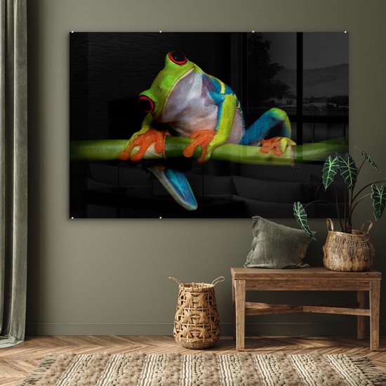 Peinture sur verre - Grenouille - Animaux - Vert - Oranje - Rouge - Photo sur verre - Peinture sur verre - 150x100 cm - Décoration murale