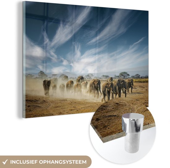 Glasschilderij - Olifant - Wilde dieren - Landschap - Wolken - Foto op glas - 30x20 cm - Schilderij glas - Wanddecoratie