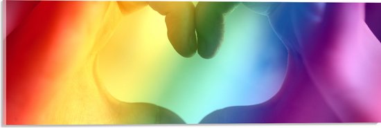 Acrylglas - Hartvormige Handen in Regenboogkleurige Lucht - 60x20 cm Foto op Acrylglas (Met Ophangsysteem)