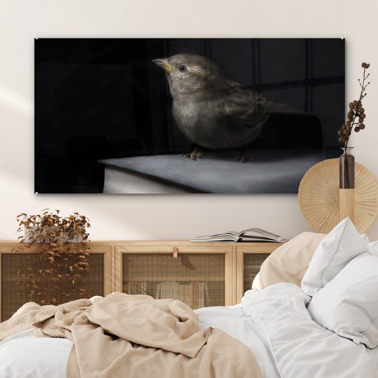 MuchoWow® Glasschilderij 120x60 cm - Schilderij acrylglas - Vogel - Boeken - Portret - Foto op glas - Schilderijen