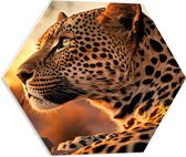 PVC Schuimplaat Hexagon - Zonlicht op Rustend Luipaard - 50x43.5 cm Foto op Hexagon (Met Ophangsysteem)