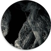 Dibond Muurcirkel - Witte Draden en Stammen tegen Zwarte Achtergrond - 50x50 cm Foto op Aluminium Muurcirkel (met ophangsysteem)