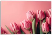 Dibond - Roze Tulpen met Roze Achtergrond - 60x40 cm Foto op Aluminium (Met Ophangsysteem)