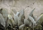 Fotobehang - Vlies Behang - Bananenbladeren op Betonnen Muur - Jungle Planten - 208 x 146 cm