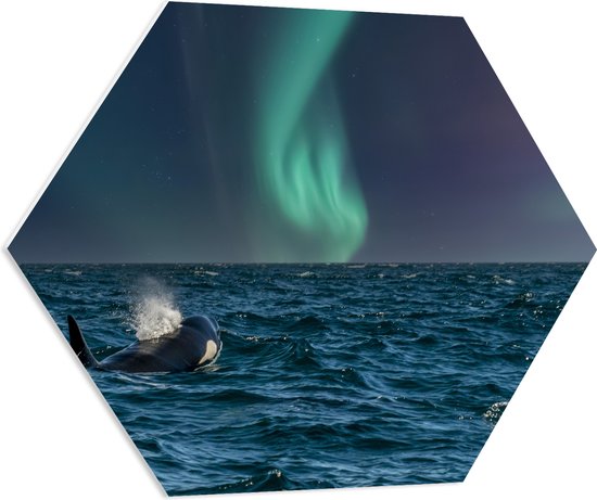 PVC Schuimplaat Hexagon - Noorderlicht boven Orka in de Zee - 70x60.9 cm Foto op Hexagon (Met Ophangsysteem)