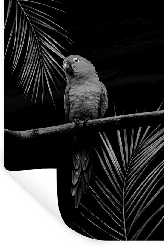 Muurstickers - Sticker Folie - Een papegaai zit op een tak tegen een zwarte achtergrond - zwart wit - 20x30 cm - Plakfolie - Muurstickers Kinderkamer - Zelfklevend Behang - Zelfklevend behangpapier - Stickerfolie