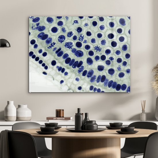 Peinture sur verre - Cellules bleues sous le microscope - 80x60 cm - Peintures sur Verre Peintures - Photo sur Glas