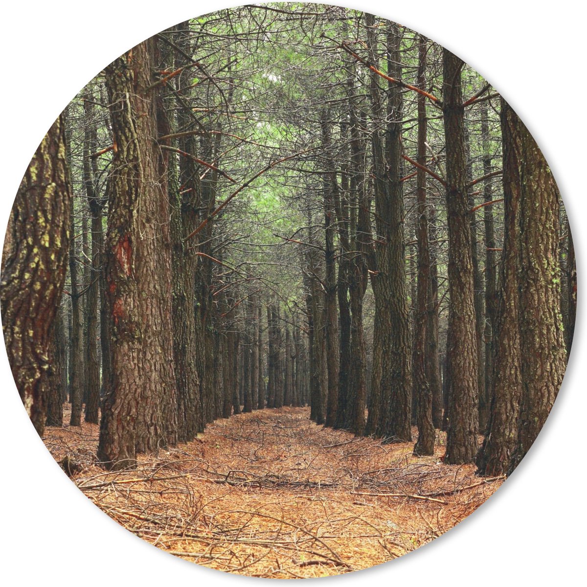 Muismat rond 30x30 cm - Mousepad Herfst - Landelijke decoratie - Bos - Ronde muismatten