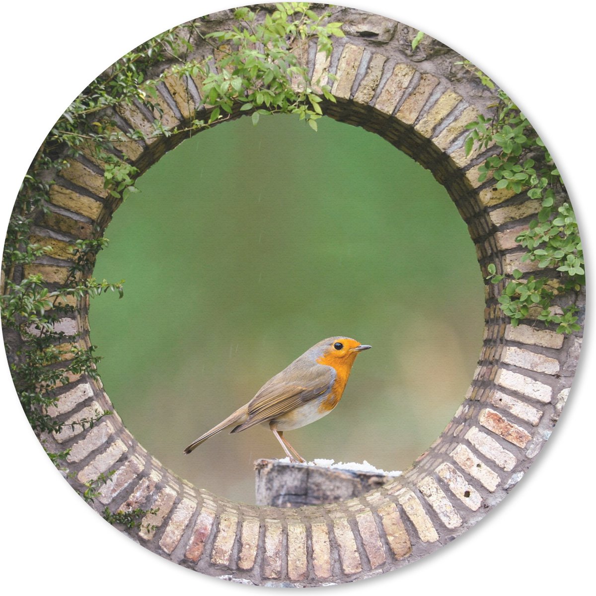 Muismat rond 20x20 cm - Mousepad Vogel - Doorkijk - Roodborstje - Ronde muismatten