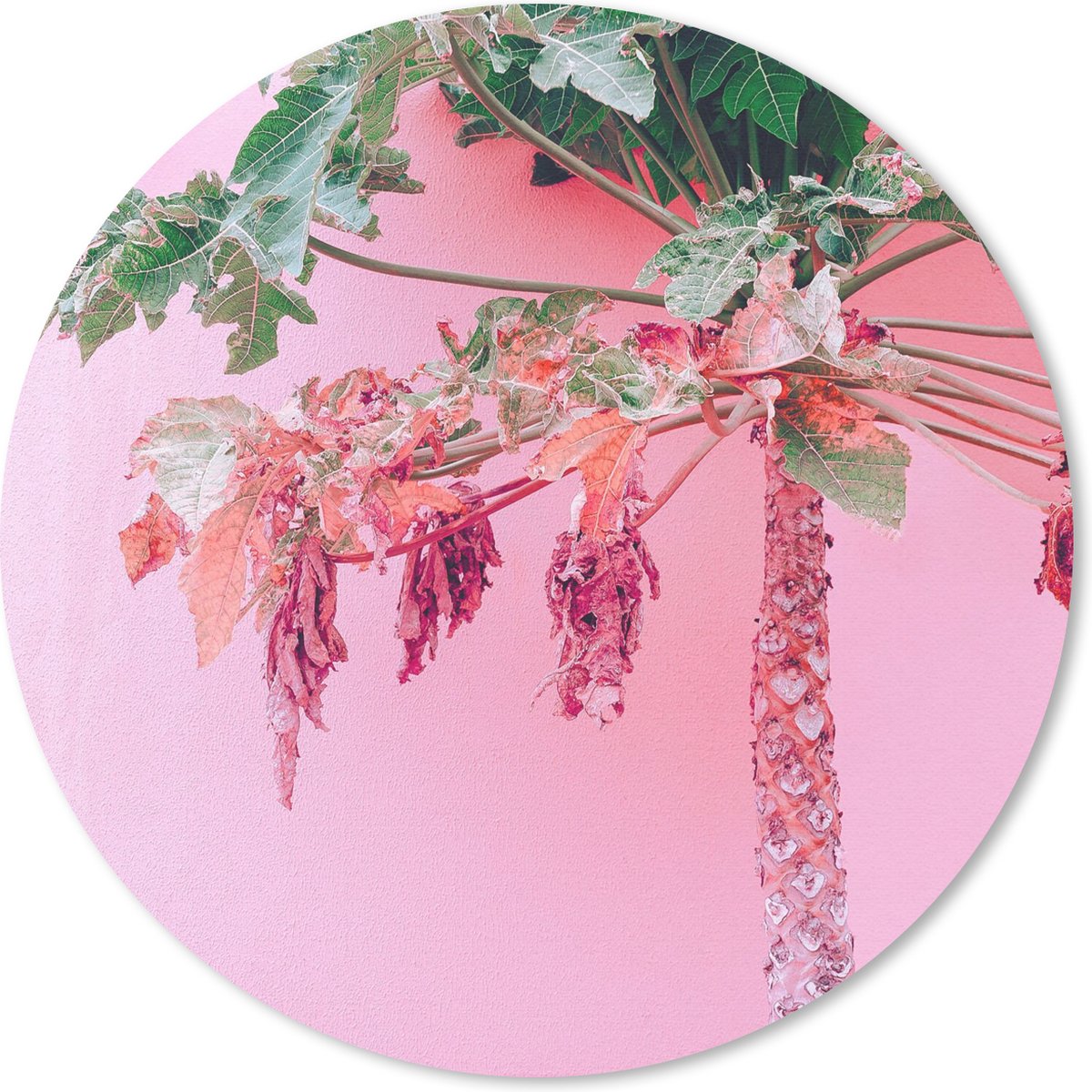 Muismat rond 30x30 cm - Mousepad Palmboom - Tropisch - Roze - Zomer - Ronde muismatten