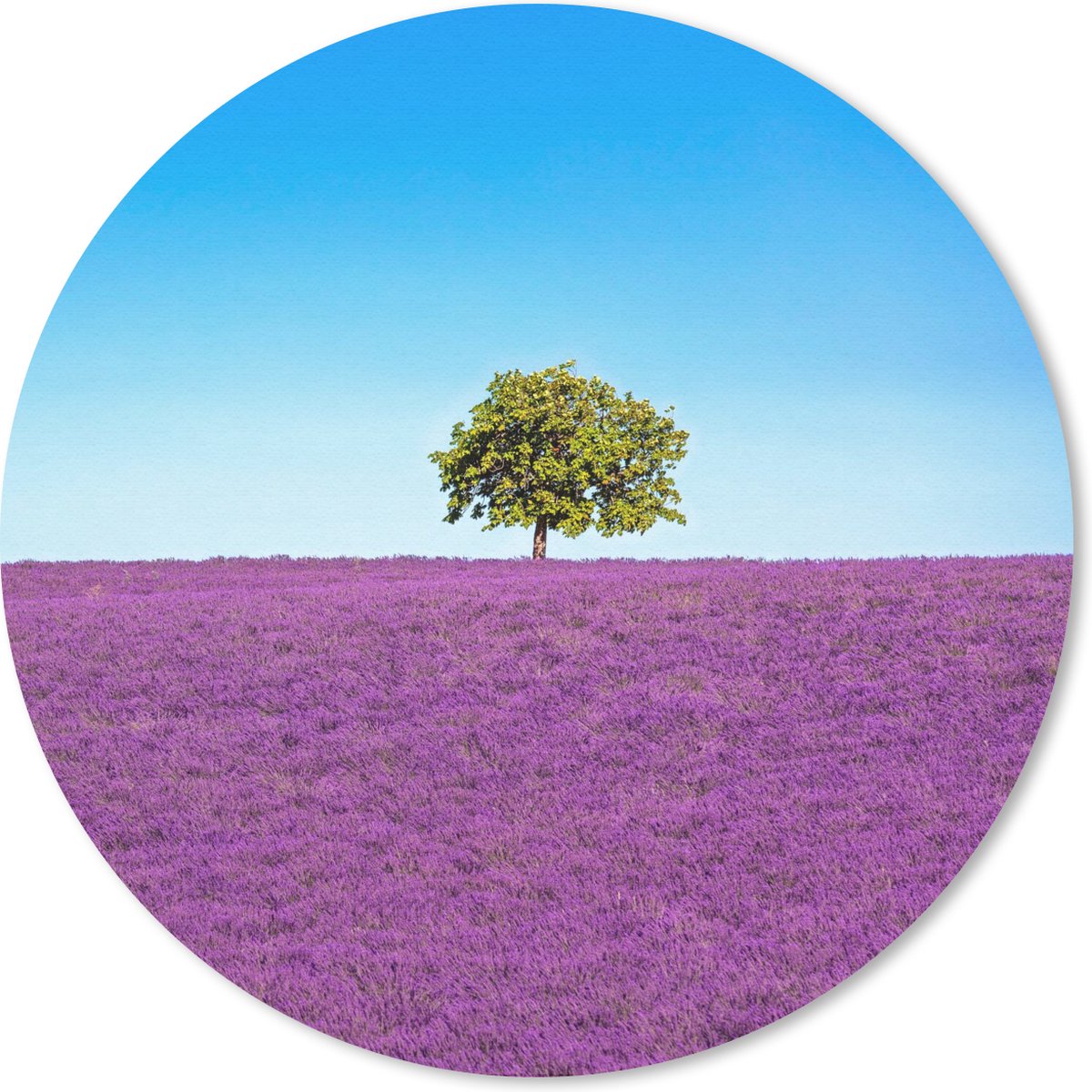 Muismat rond 30x30 cm - Mousepad Boom - Paars - Lucht - Lavendel - Ronde muismatten