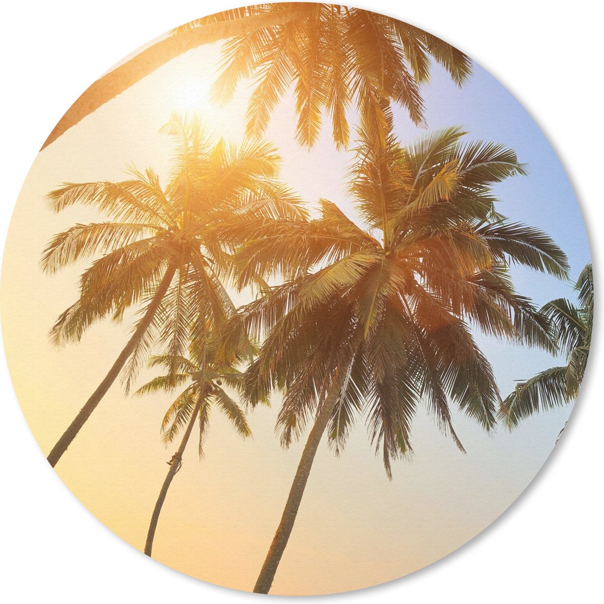 Muismat rond 20x20 cm - Mousepad Palmboom - Zon - Zomer - Tropical - Ronde muismatten