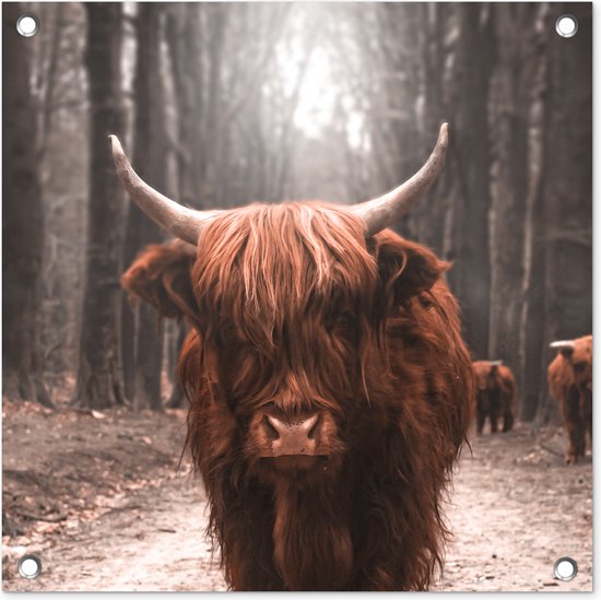 Tuinposters Schotse hooglander - Bos - Koe - Dieren - Natuur - 50x50 cm - Tuindoek - Buitenposter