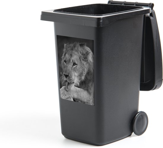 Container sticker Leeuw in zwart wit - Leeuw die aan zijn poot likt - 40x60 cm - kliko sticker - weerbestendige containersticker