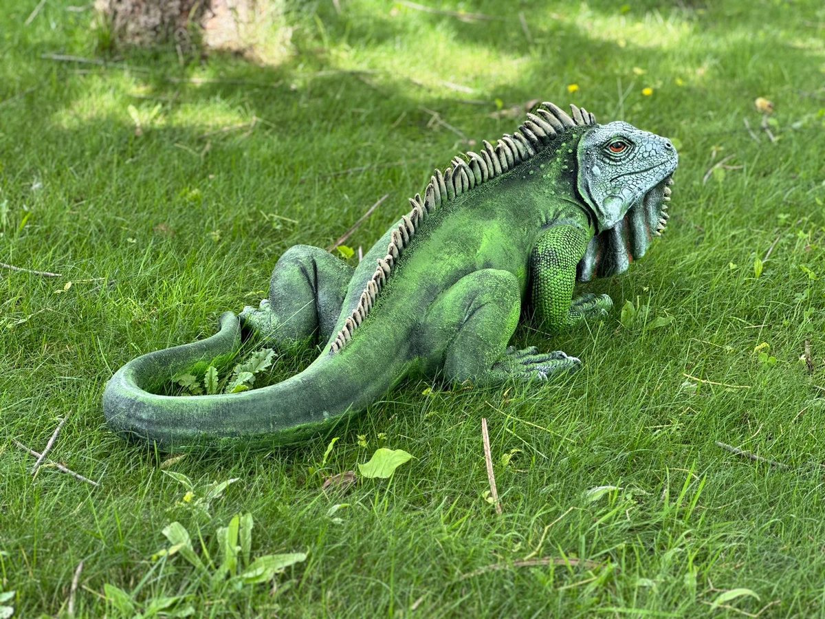 Goodyz Statue Iguane 100 cm de long réaliste vert/blanc