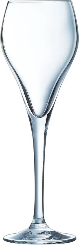 Arcoroc - Brio Collection - 6 champagne glasses 16 cl - Transparency and sustainability - Made in France - Reinforced packaging