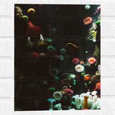 Muursticker - Zee - Onderwaterleven - Koraal - Bloemdieren - 30x40 cm Foto op Muursticker