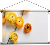 Textielposter - Gele Bloemen op Witte Achtergrond - 60x40 cm Foto op Textiel
