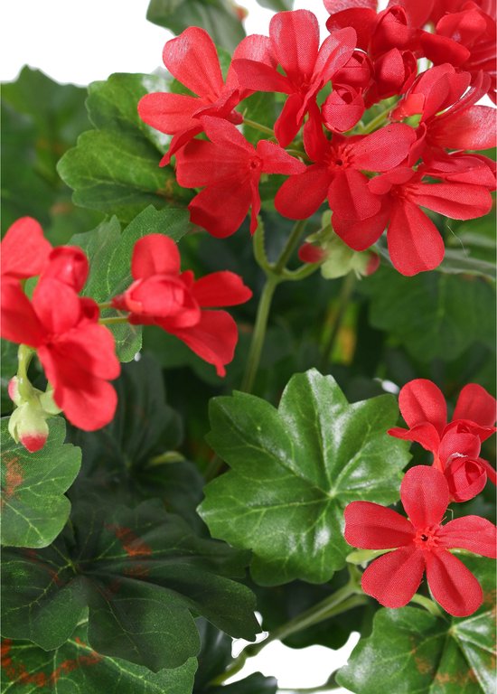 TopArt Kunstbloemen boeket Oostenrijkse Geranium rood 40 cm ...