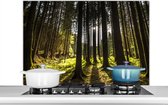 Spatscherm keuken 100x65 cm - Kookplaat achterwand Boom - Natuur - Zon - Bos - Muurbeschermer - Spatwand fornuis - Hoogwaardig aluminium