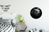 Wall Circle - Wall Circle Indoor - Ours - Léger - Zwart - 30x30 cm - Décoration murale - Peintures Ronds