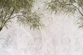 Fotobehang Tropical Trees And Leaves For Digital Printing Wallpaper, Custom Design Wallpaper - 3D - Vliesbehang - 312 x 219 cm