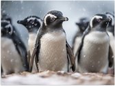 Poster (Mat) - Groep pinguïns waggelen door de sneeuw heen - 40x30 cm Foto op Posterpapier met een Matte look