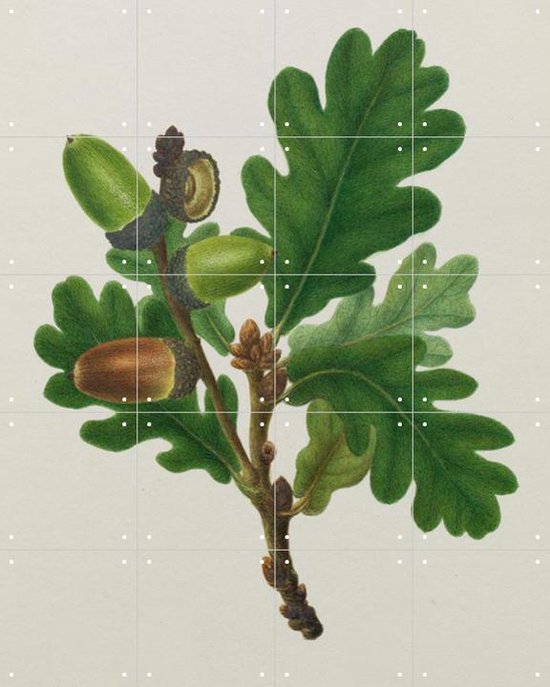 IXXI British Oak - Wanddecoratie - Kerst - 80 x 100 cm