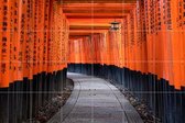 IXXI Red Torii Gates Kyoto - Japan - Wanddecoratie - Fotografie - 120 x 80 cm