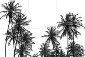 IXXI Palm Trees in Africa - Wanddecoratie - Fotografie - 60 x 40 cm