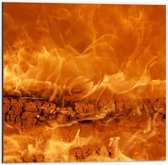 Dibond - Oranje Vuur - 50x50cm Foto op Aluminium (Wanddecoratie van metaal)