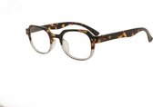 Icon Eyewear QCB023 Summit Leesbril +2.00 - tortoise met transparant