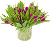 Paarse Tulpen Boeket - 30 Tulpen - Gratis Verzending