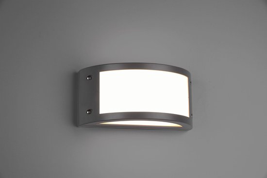 REALITY KENDAL - Wandlamp - Antraciet - incl. 1x SMD 12W - Buitenverlichting - IP54