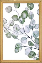 JUNIQE - Poster met houten lijst Eucalyptus aquarel -40x60 /Groen &