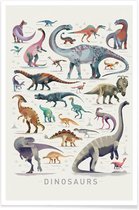 JUNIQE - Poster Dinosauruskaart -40x60 /Kleurrijk