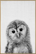 JUNIQE - Poster met kunststof lijst Uil zwart-wit foto -40x60 /Grijs &
