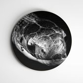 Muurcirkel slang zwart wit | Exclusive Animals | wanddecoratie - 40x40cm