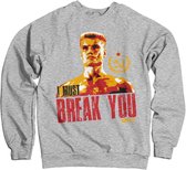 Rocky Sweater/trui -M- I Must Break You Grijs