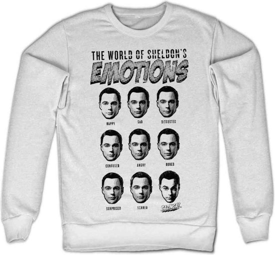 The Big Bang Theory Sweater/trui Sheldon's Emotions Wit