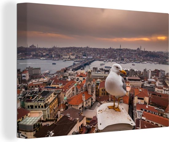 Canvas Schilderij Meeuw - Istanbul - Architectuur - 60x40 cm - Wanddecoratie