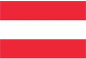Vlag Oostenrijk 90 x 150 cm feestartikelen - Oostenrijk landen thema supporter/fan decoratie artikelen