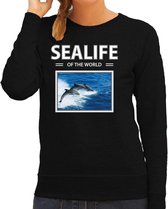 Dieren foto sweater Dolfijn - zwart - dames - sealife of the world - cadeau trui Dolfijnen liefhebber M