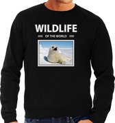 Dieren foto sweater Zeehond - zwart - heren - wildlife of the world - cadeau trui Zeehonden liefhebber M