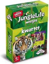 Identity Games Junglelife Weetjes Kwartet - Speelgoed - Kwartet