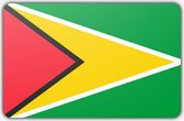 Vlag Guyana - 100 x 150 cm - Polyester