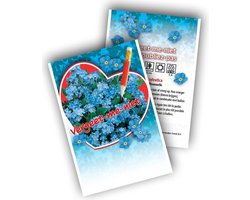 100 weggeefzakjes - Vergeet mij niet - Myosotis Vergeet me nietje - indigo Blue, 100 zakjes
