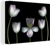Canvas Schilderij Witte tulpen op een zwarte achtergrond - 40x30 cm - Wanddecoratie